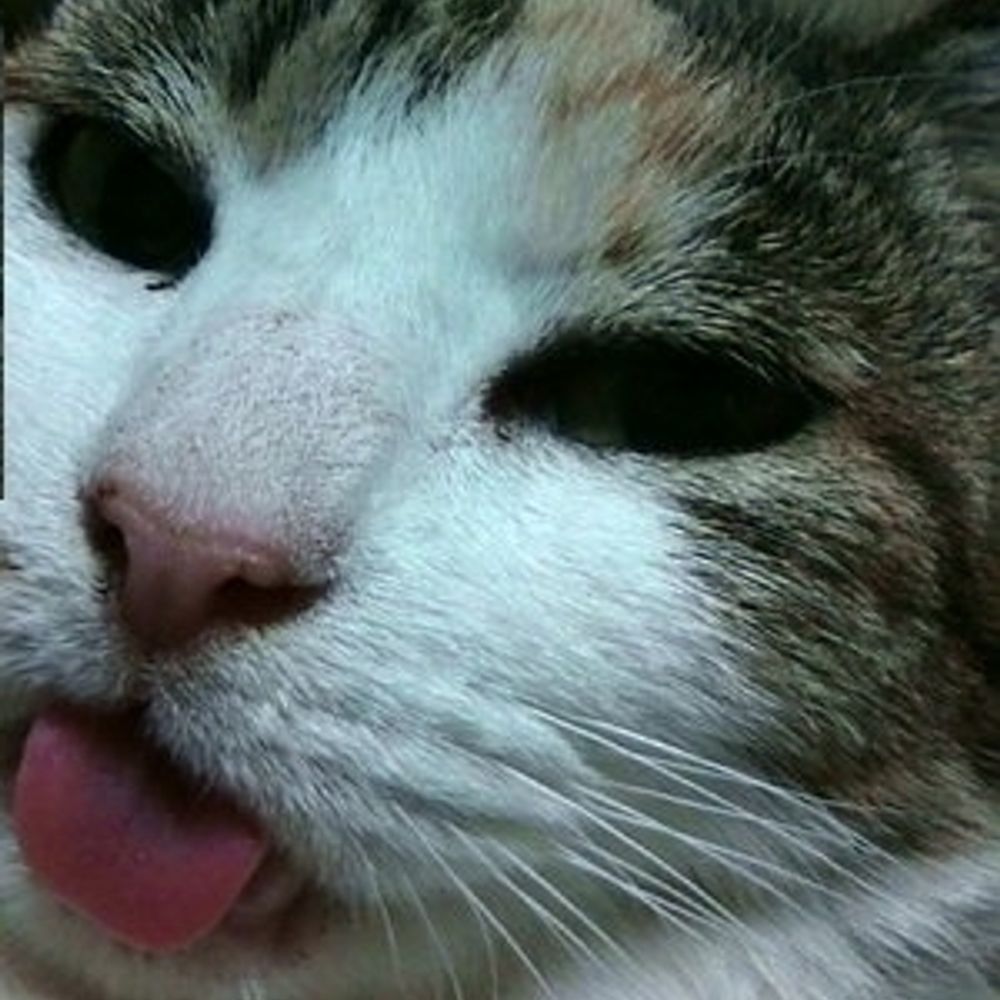 いけちゃん