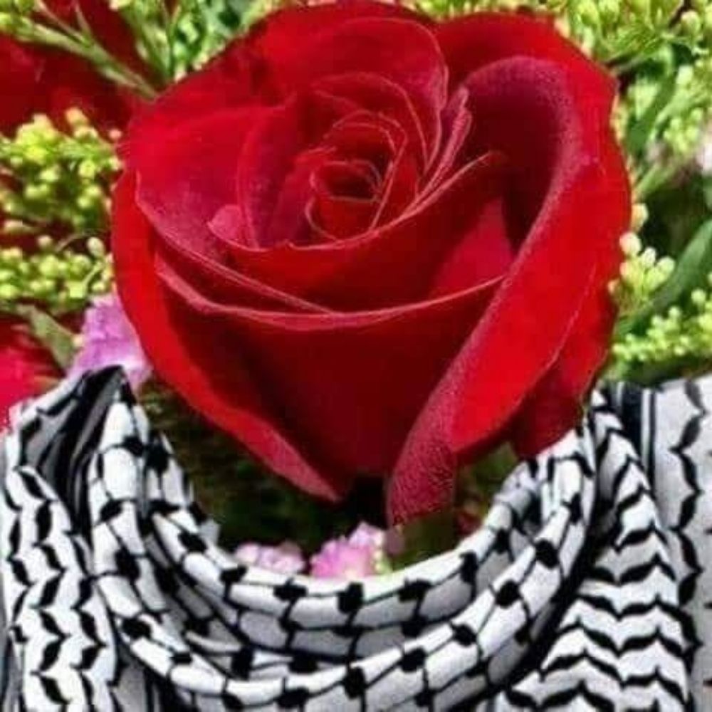 Zahra, a flower from Gaza