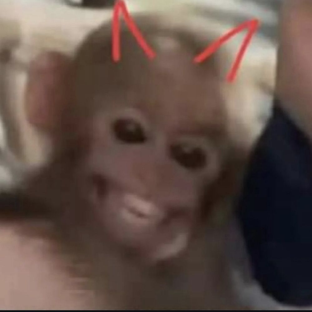 Macaquinhos
