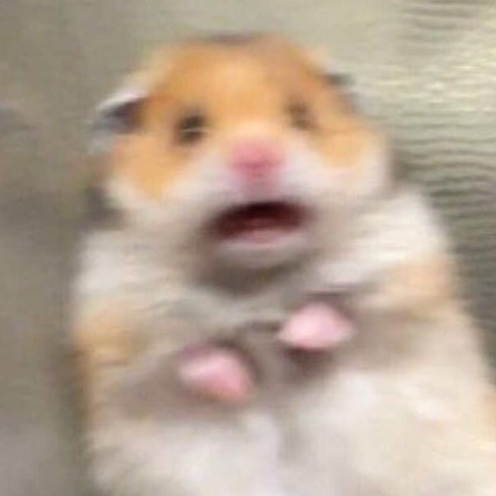 류화