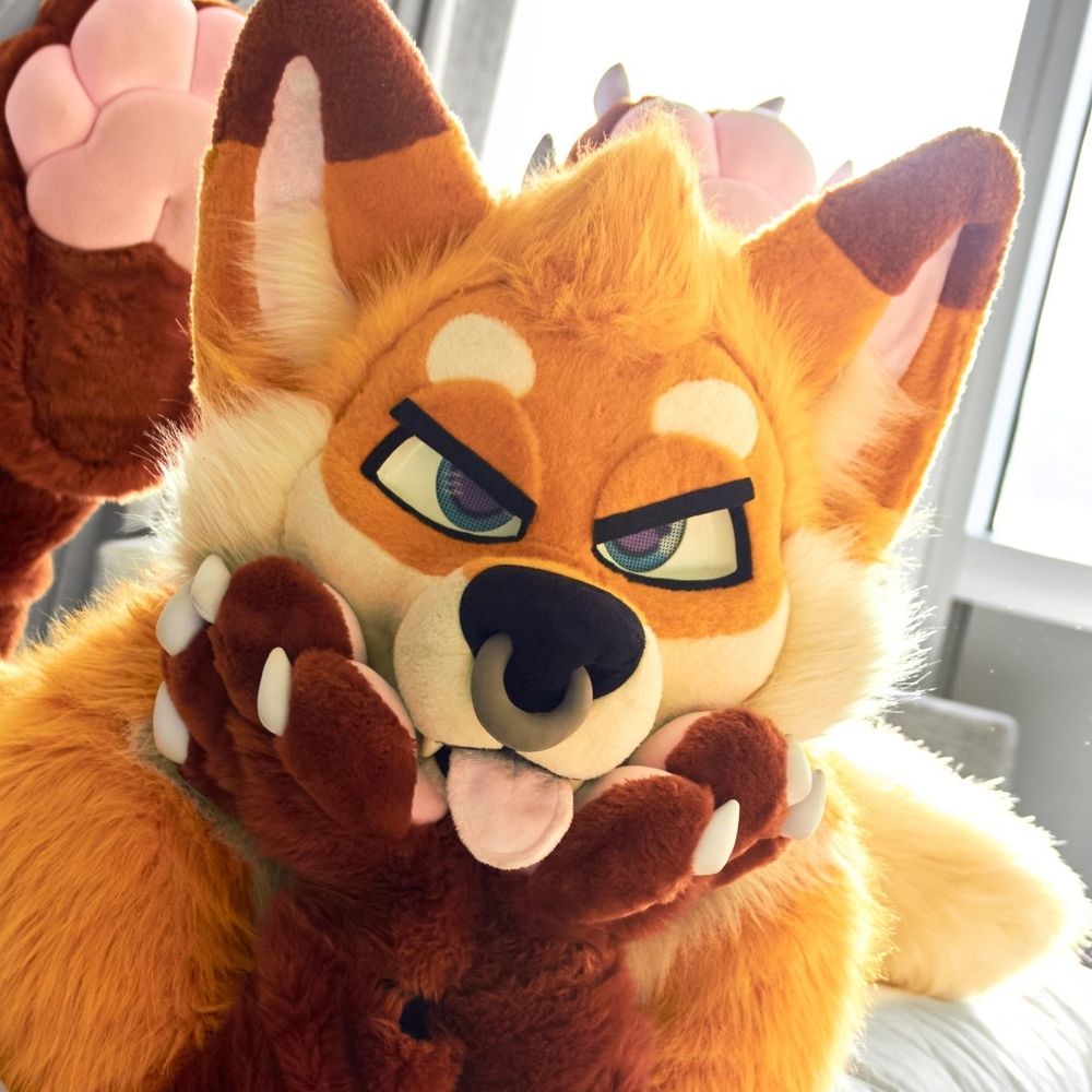 TWITCH 🦊✨