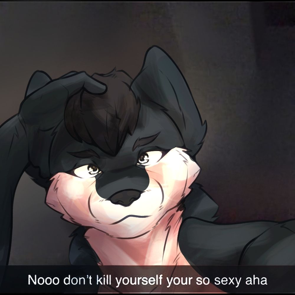 Chris Wolf