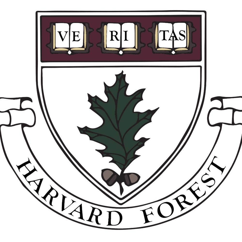 Harvard Forest