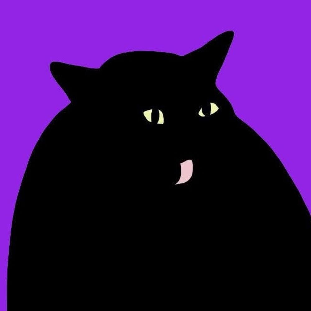 Basement cat