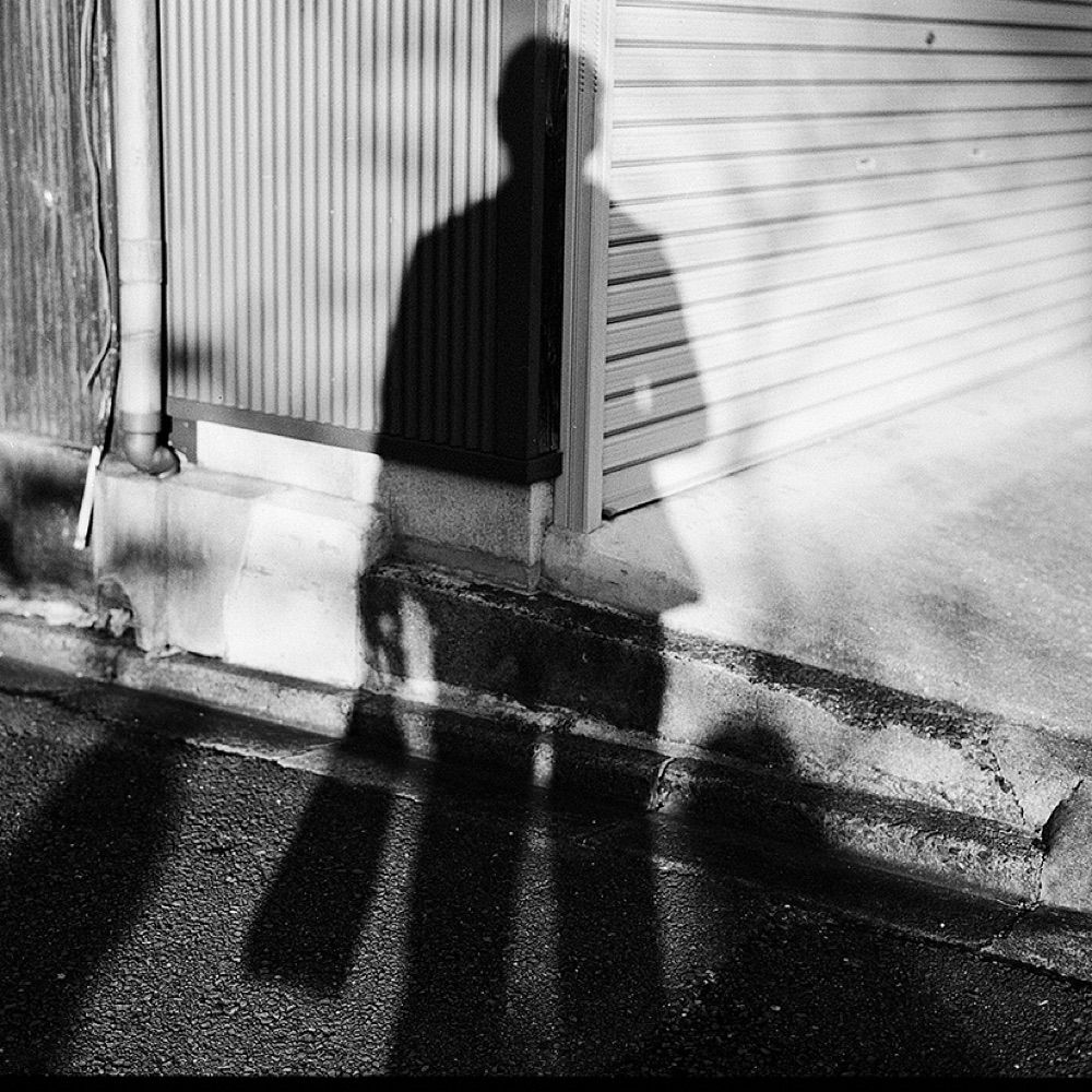 Ivo K
