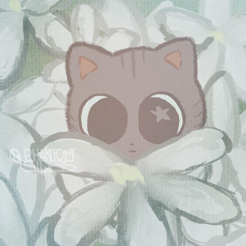 (( 🌸 )) Iris