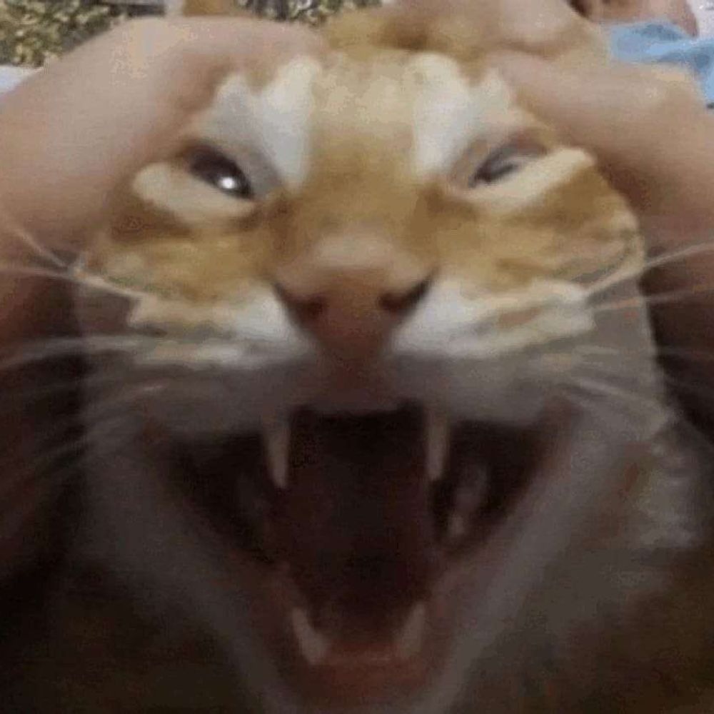 Jinraa