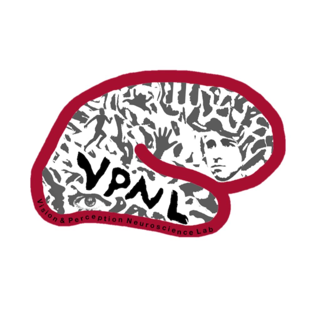 Stanford Vision and Perception Neuroscience Lab