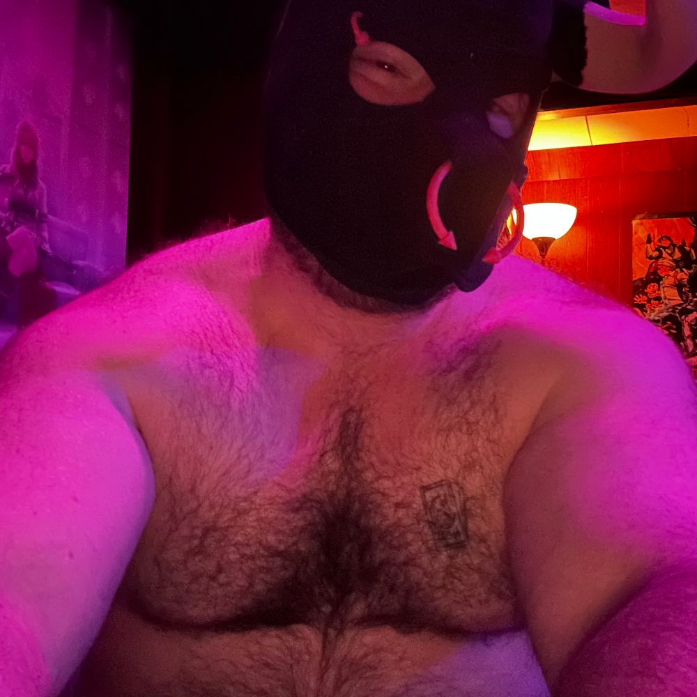 Gali the Bull🌙💫