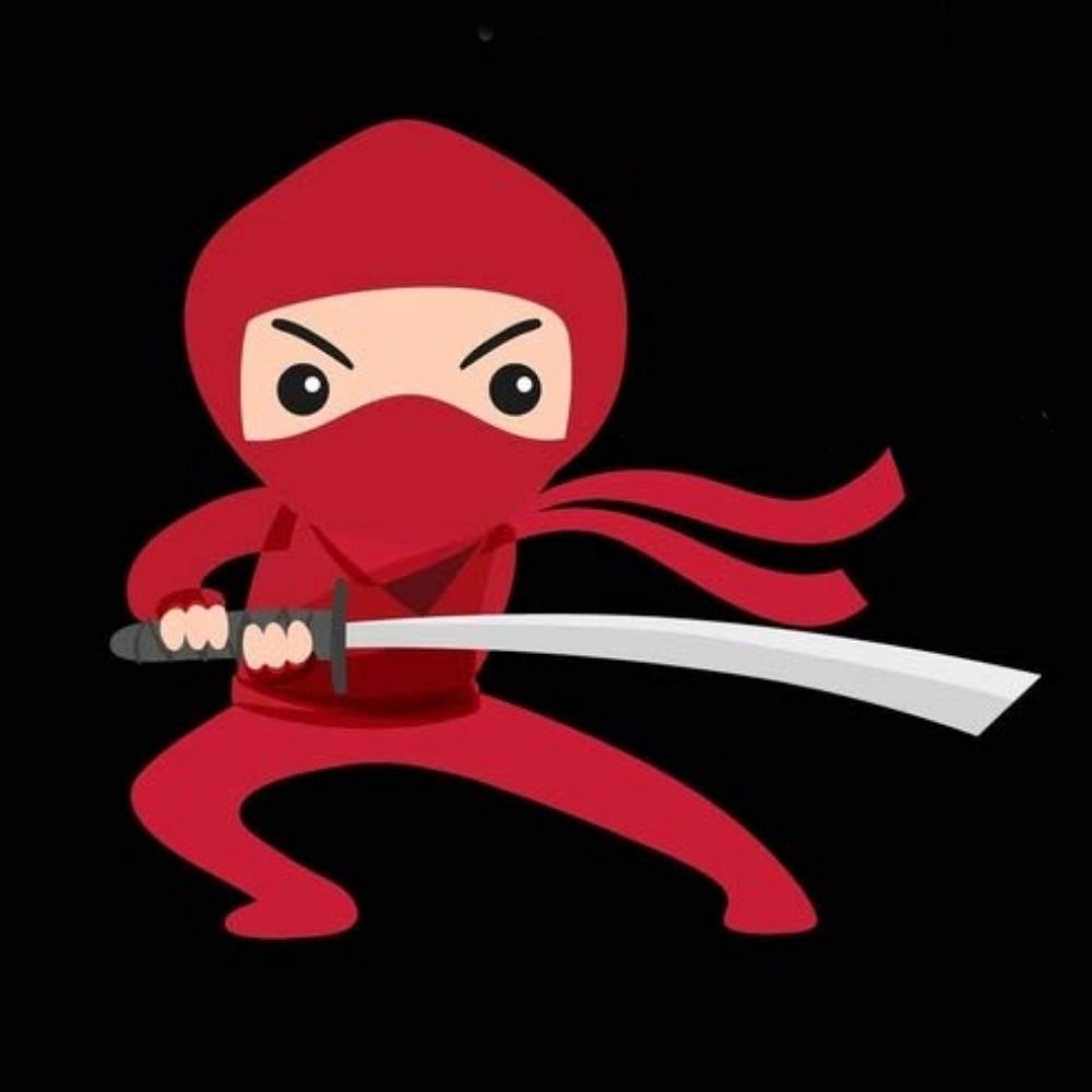 Ninja Mama