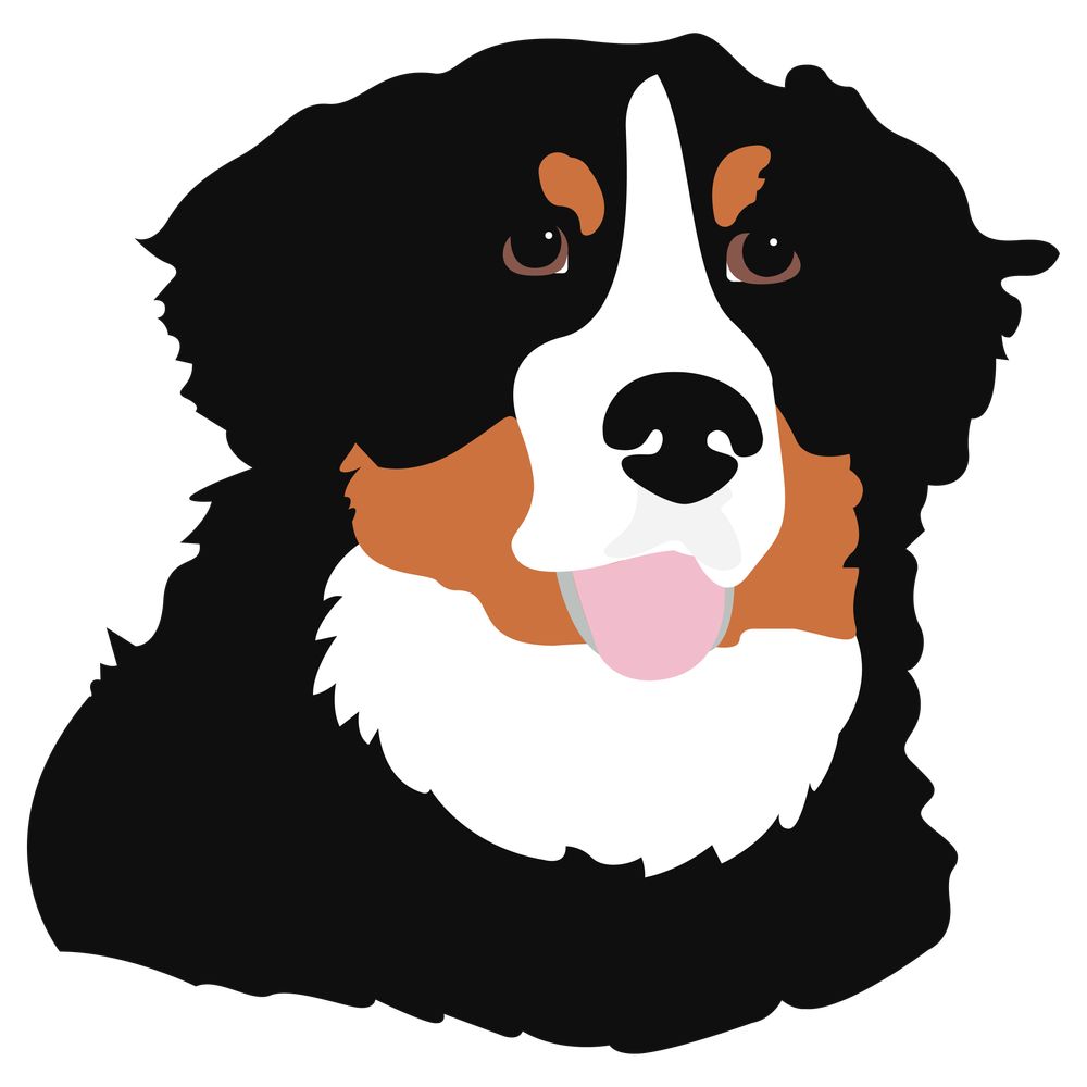 dogesec