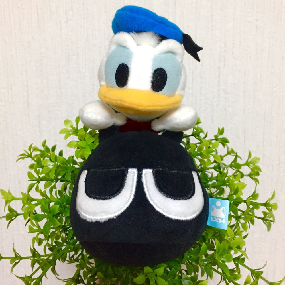 小智