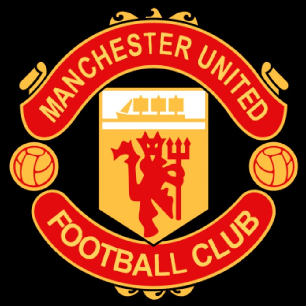 A View From Stretford Paddock