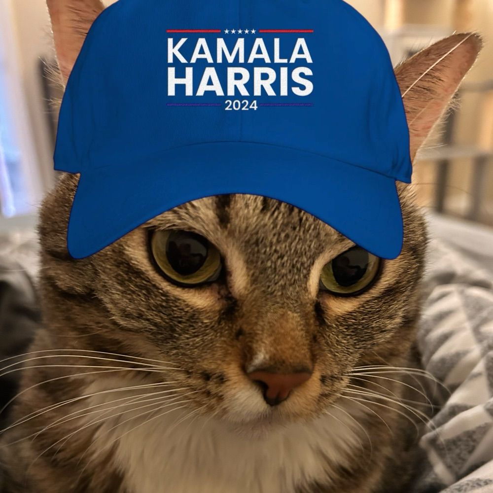the-political-cat