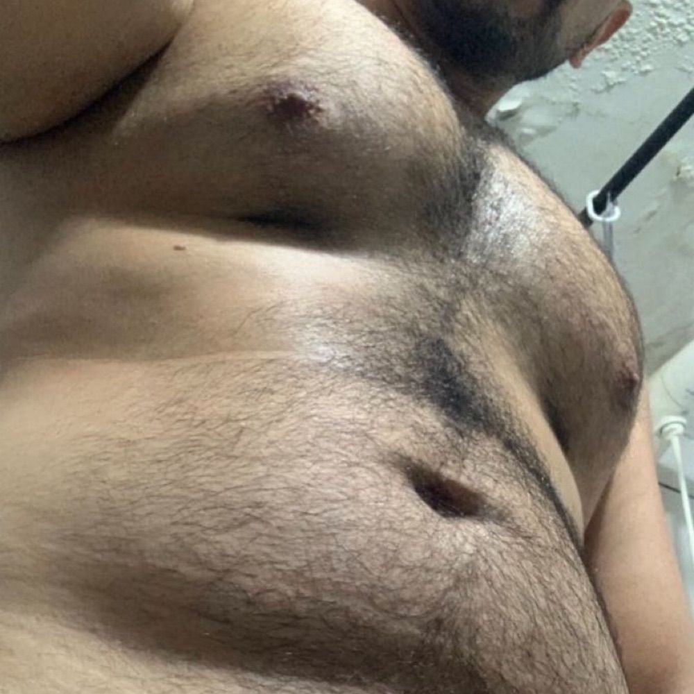 Urso carinhoso