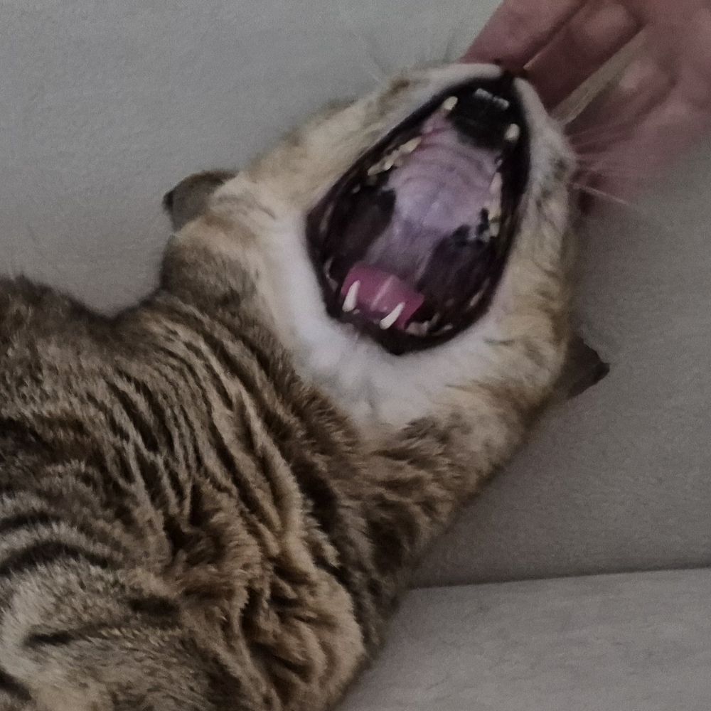 깜공계