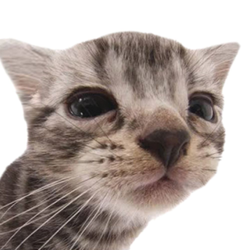 7410