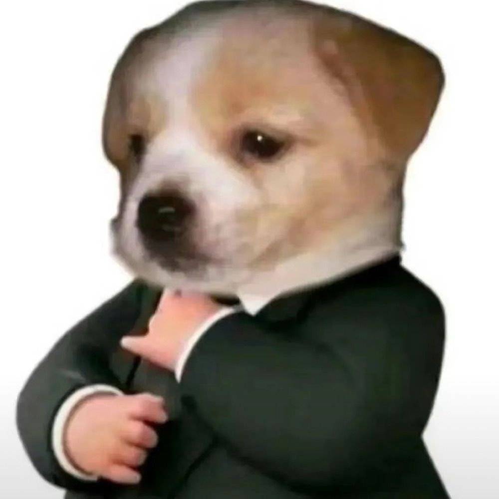 我可以睡觉吗zzz
