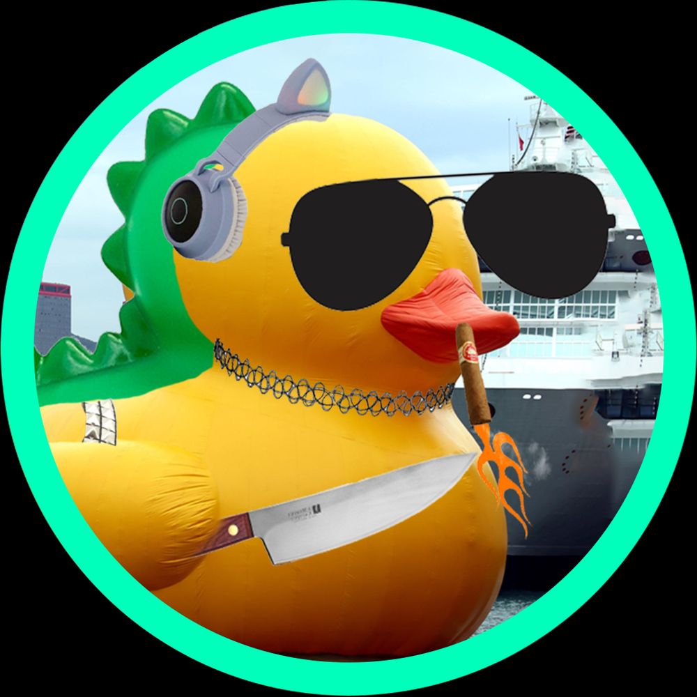 ✨ ducki
