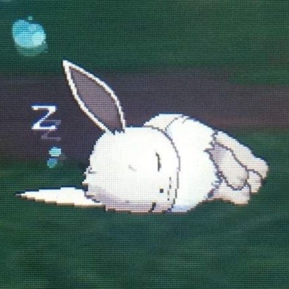✦𝑵𝒊𝒒𝒖𝒆✦