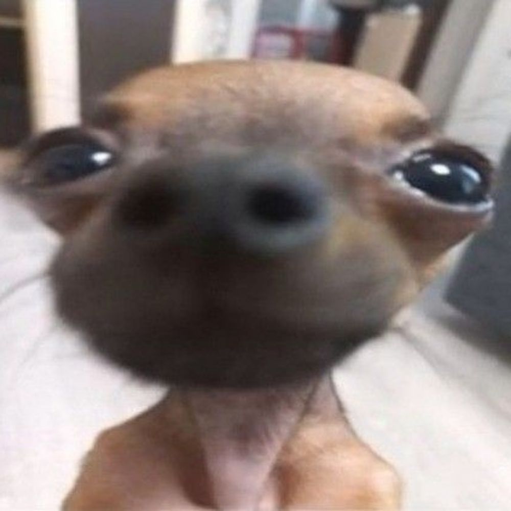 EduGameplays29