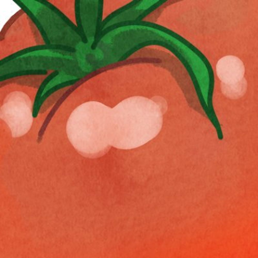 倭田トマト/WADA Tomato
