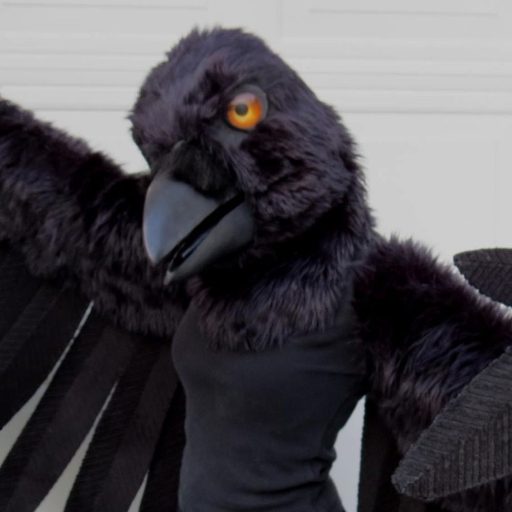 Crow Lady's avatar