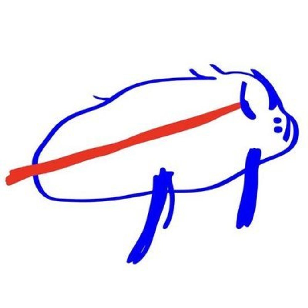 Tim
