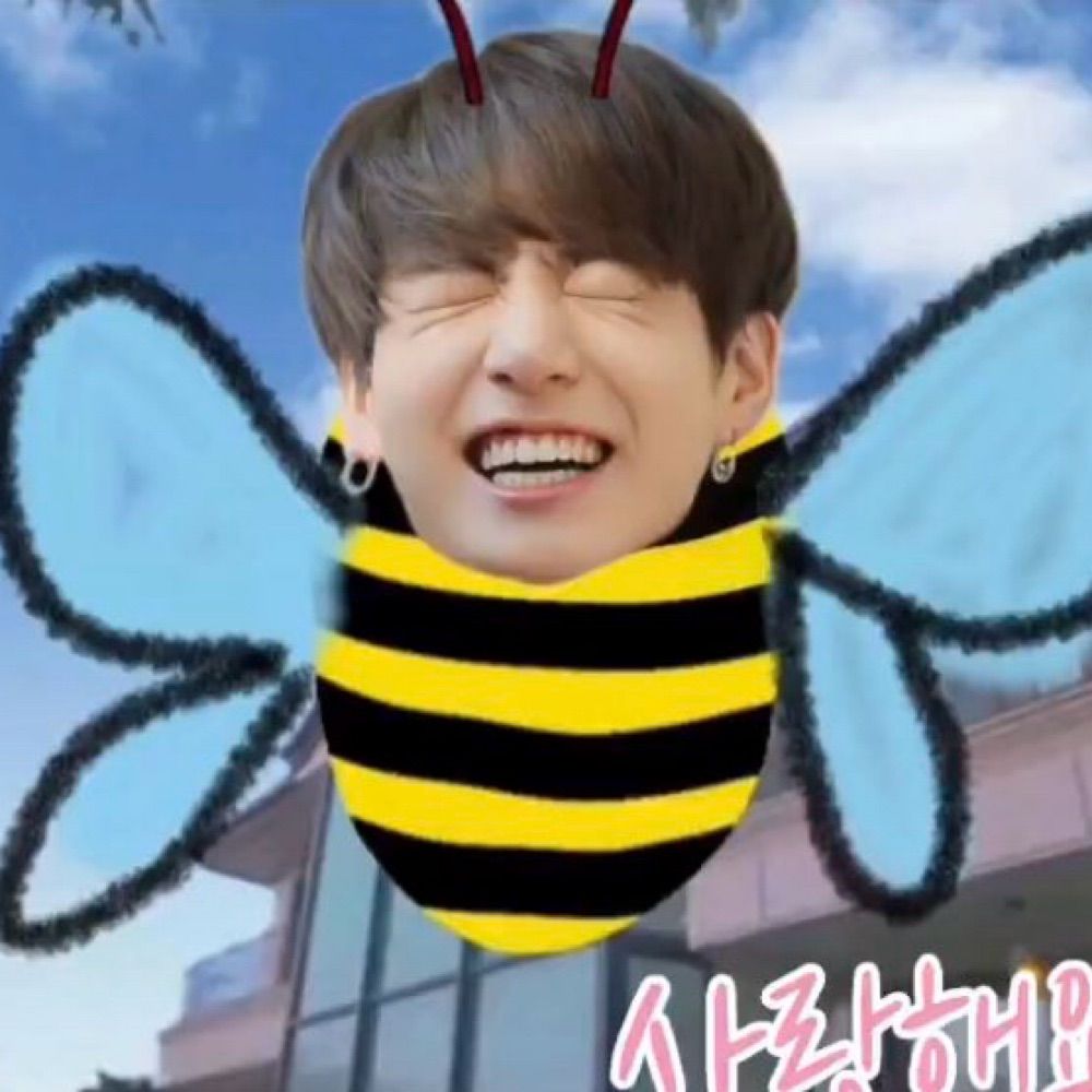 ( ˘ ³˘)♥ JIN HAPPY JIN ୨♡୧ ˶⚈Ɛ⚈˵