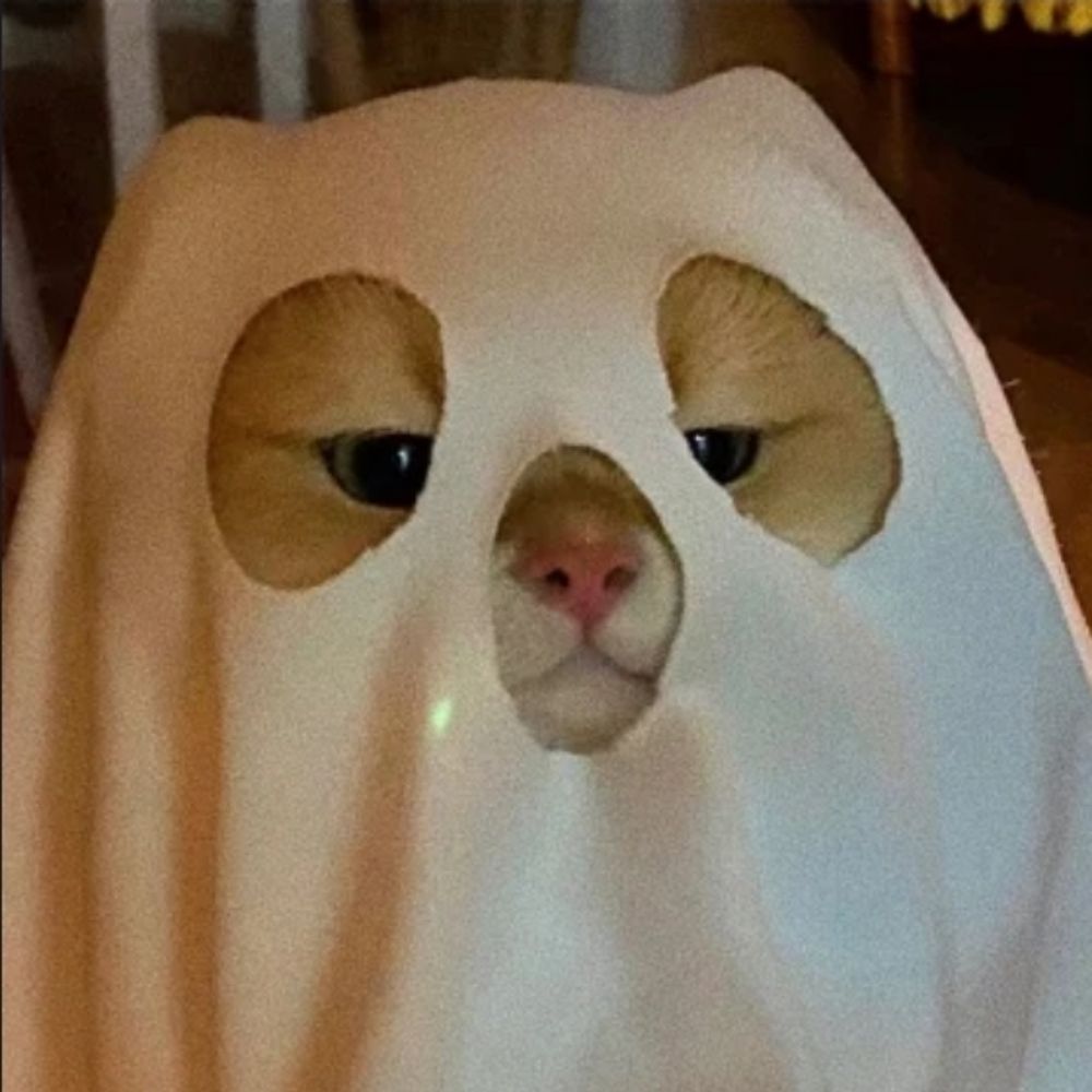 呱