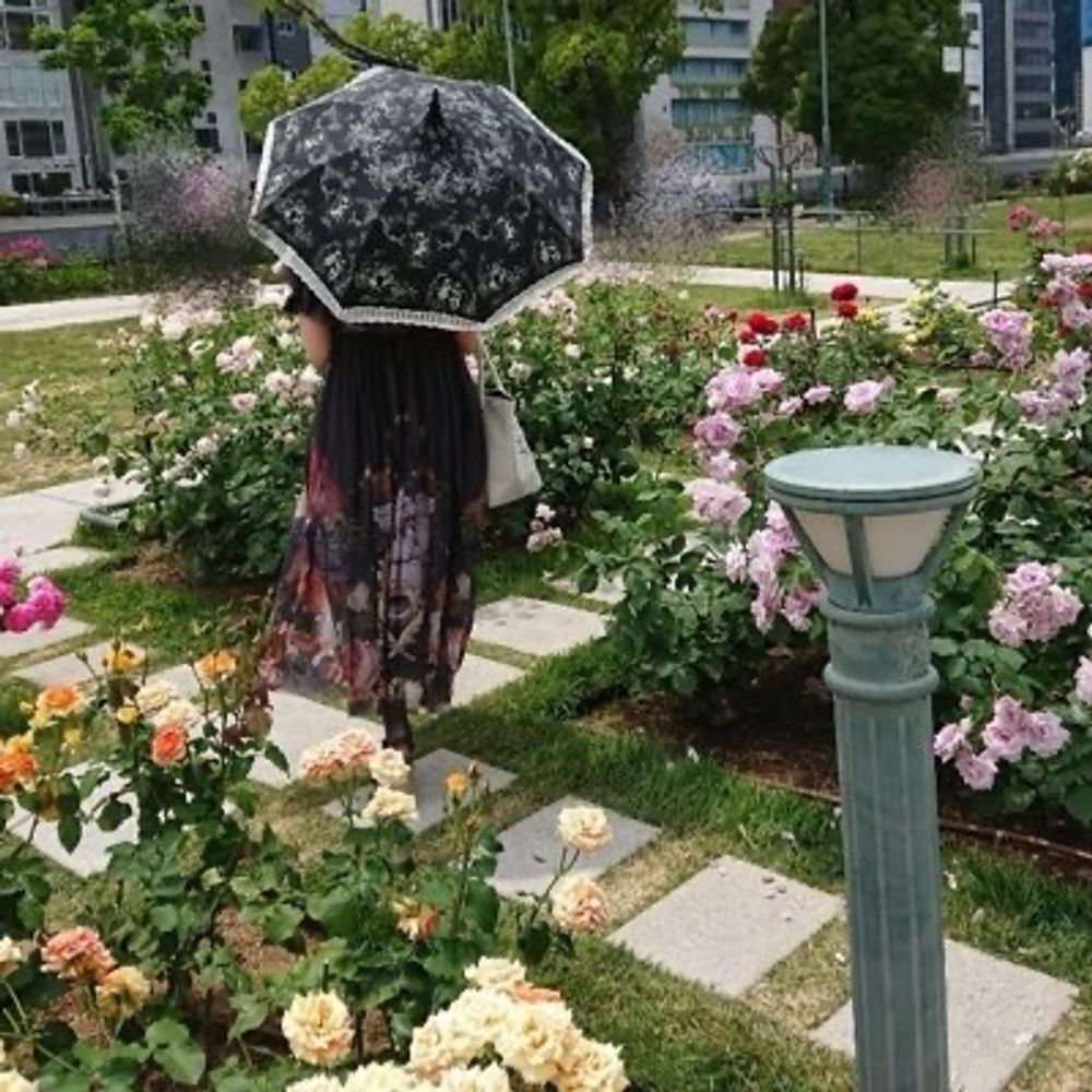 ぞーい