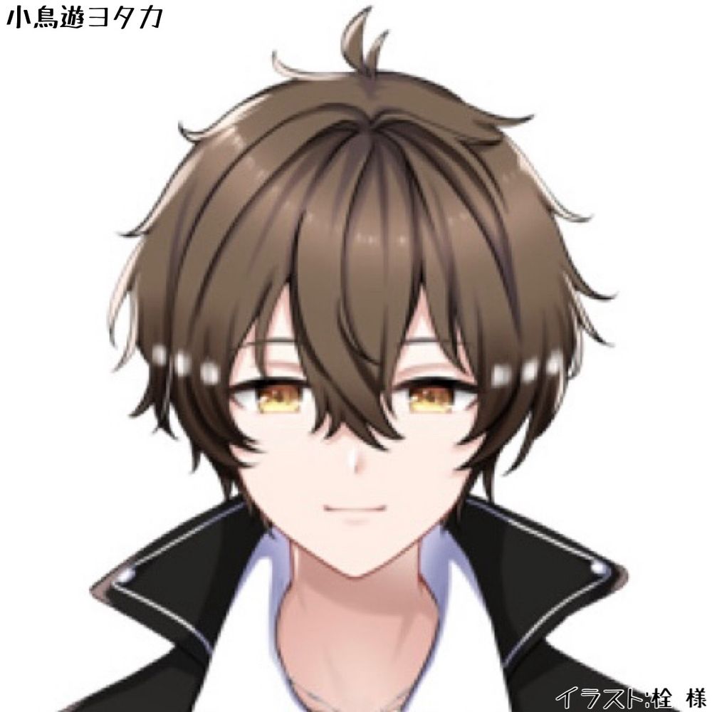小鳥遊ヨタカ🐣⭐️vtuber
