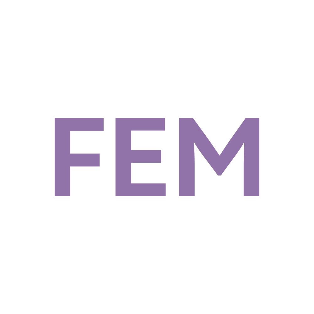 FEMprompt