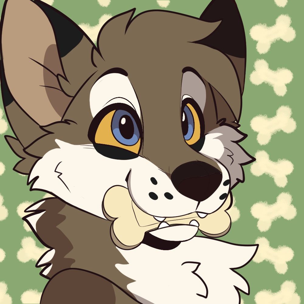 local dogboy ✨