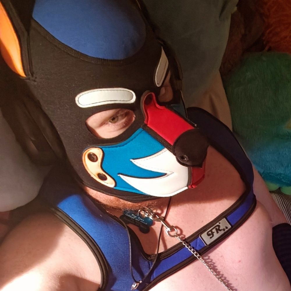 Foxy