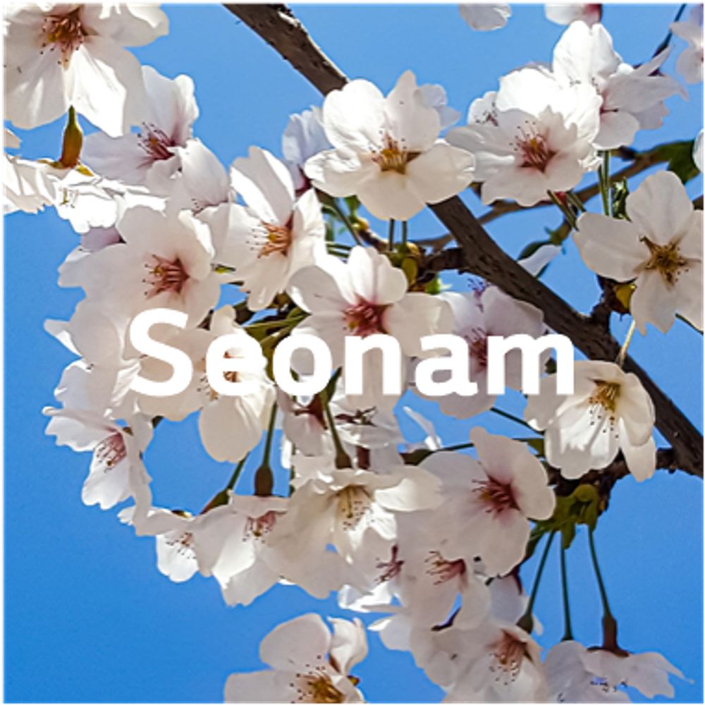 선 암