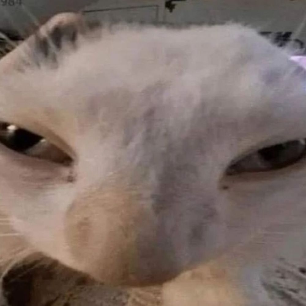 Puctas 