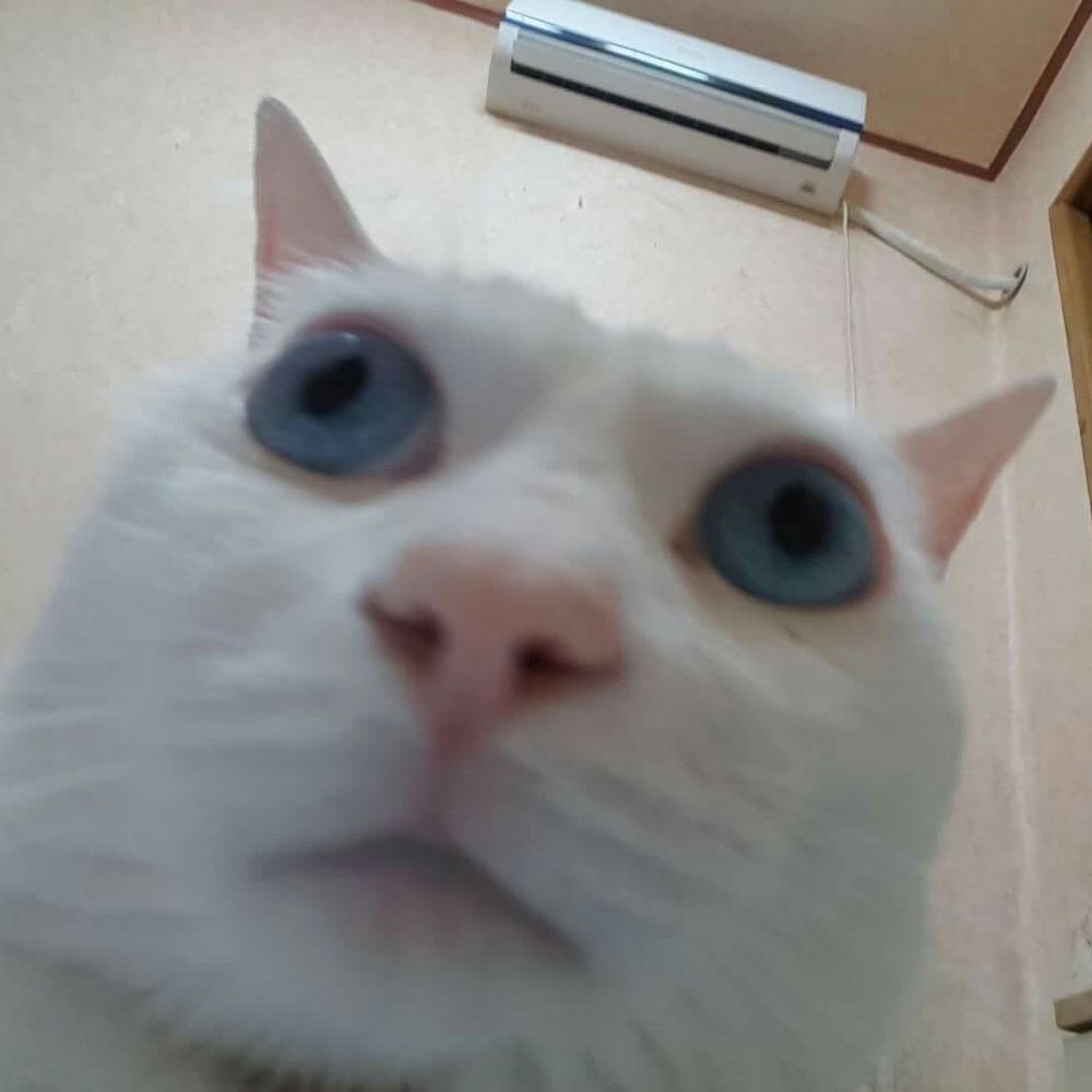 연필핑