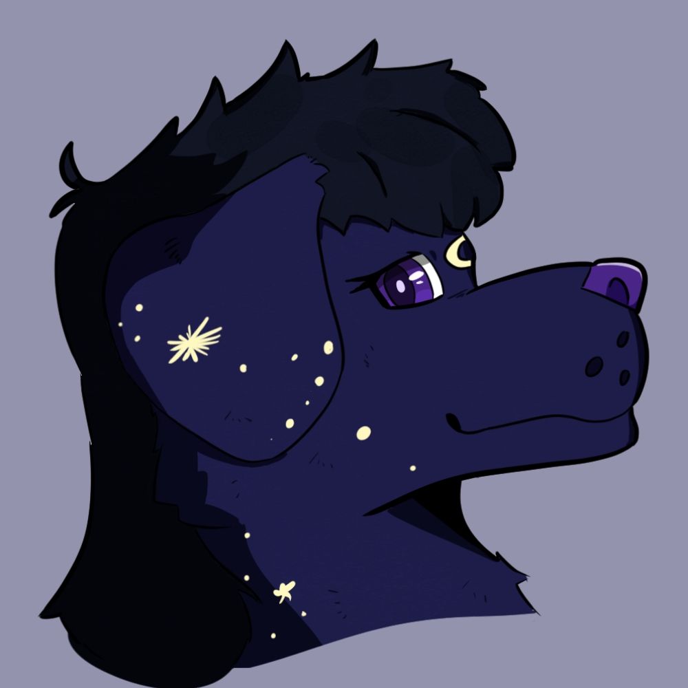 Pup Midnight