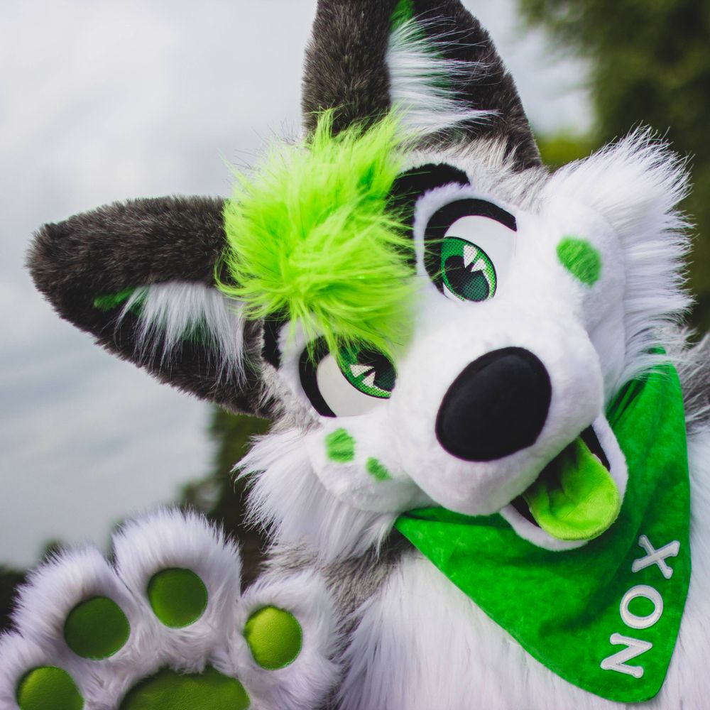 Nox Husky