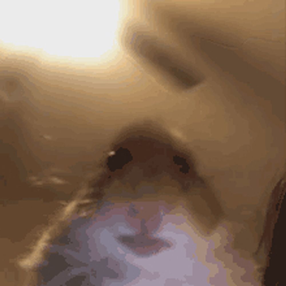 McSnurtle 