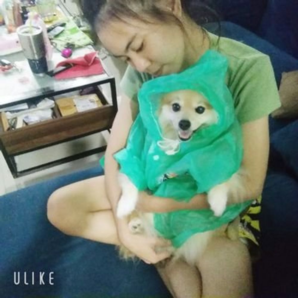 ✨เพชร​ชรินทร์​ พอย🎲