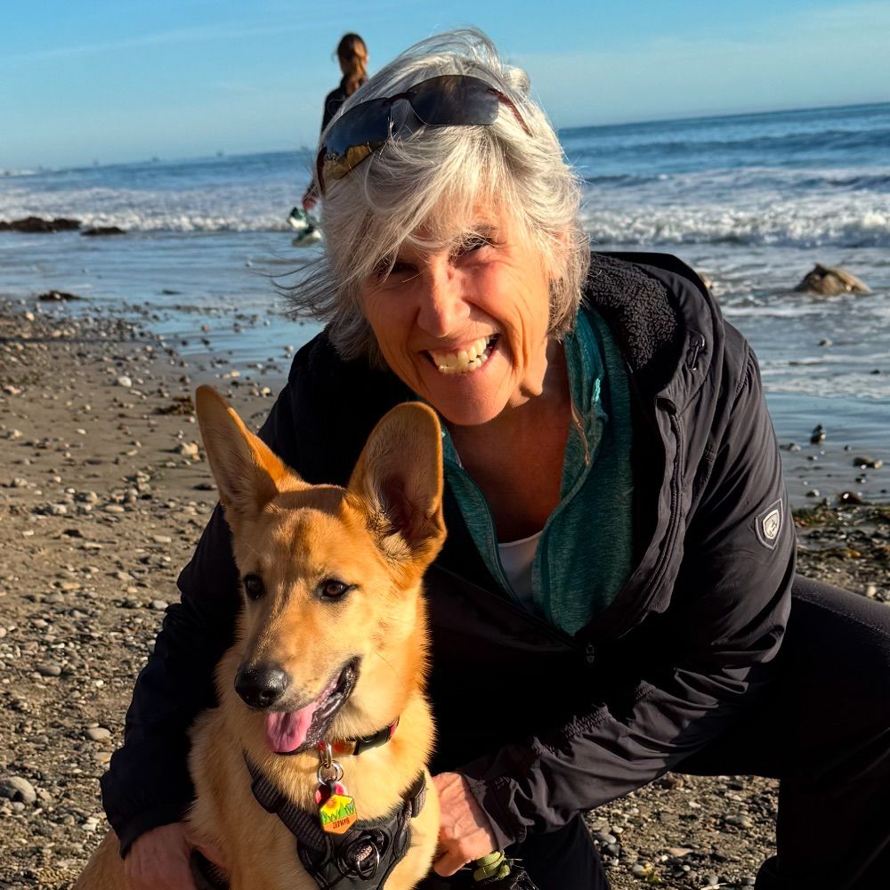 Laurie Fleishman Walowitz