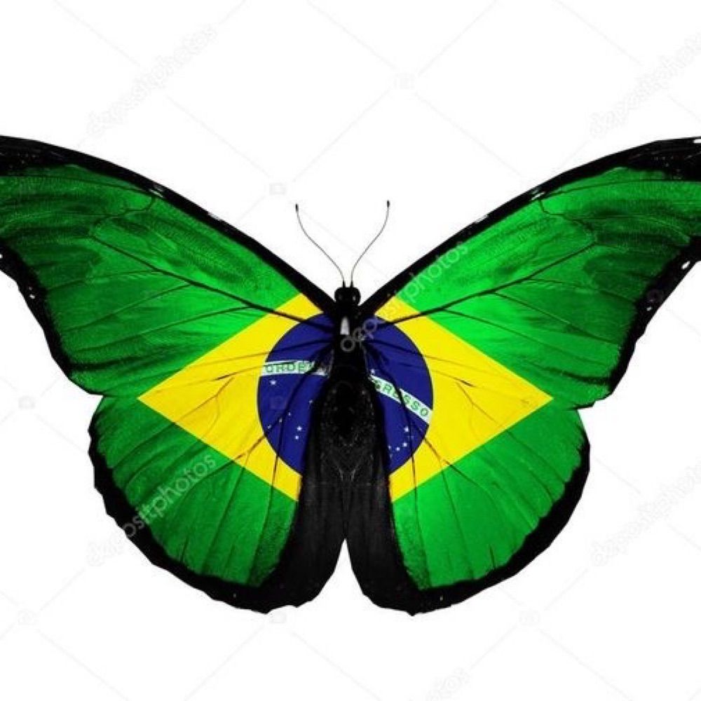 Não pode faltar ouro incenso e mirra 🪼