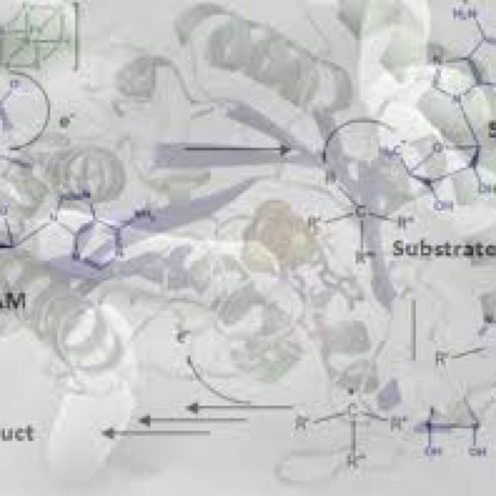 Profile picture chemsybio.bsky.social