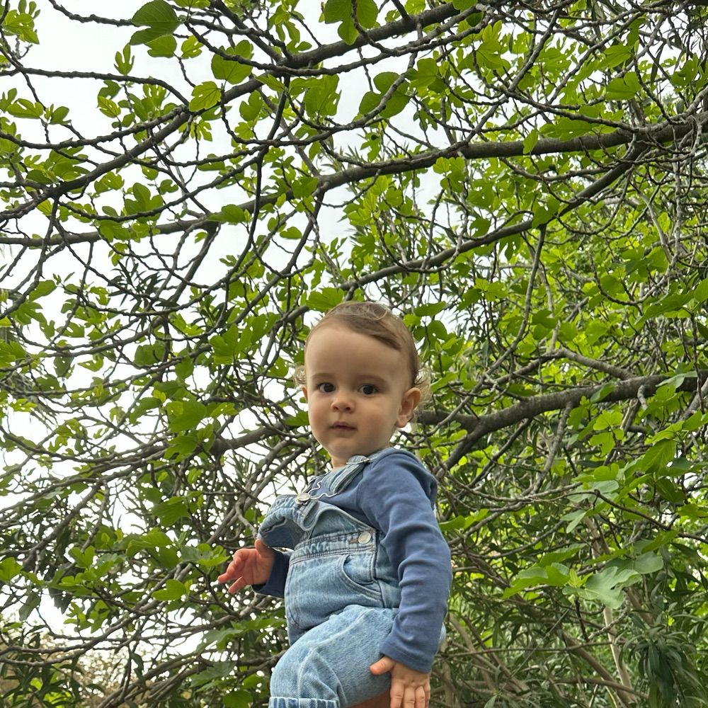 Uğur Mert