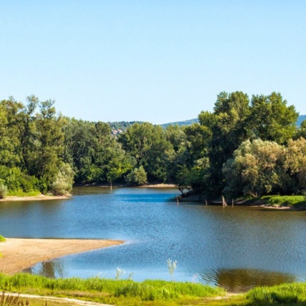 Gariša