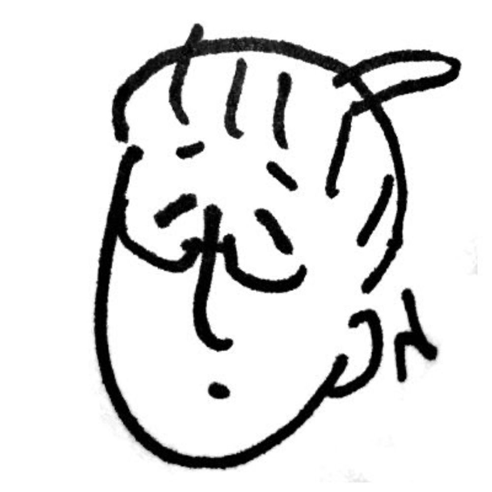 村井善幸