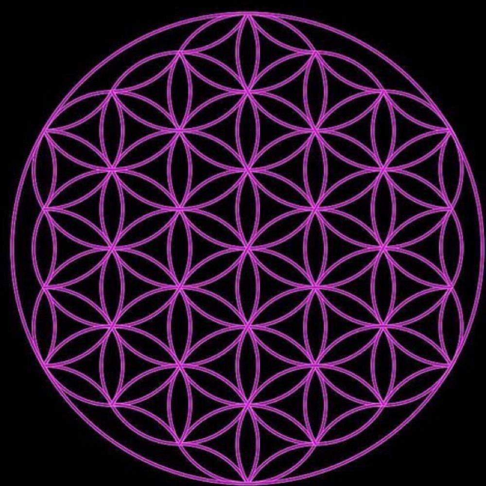 Manifest More