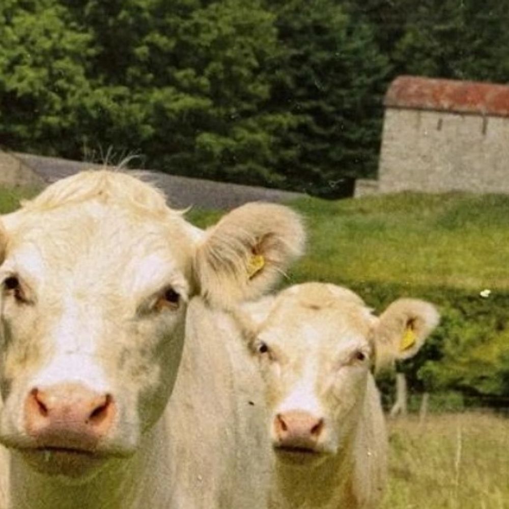 Cragend Farm ReGen Agri